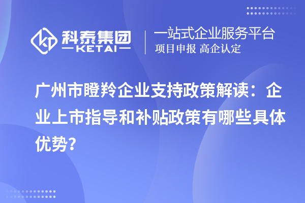 廣州市瞪羚企業(yè)支持政策解讀：企業(yè)上市指導和補貼政策有哪些具體優(yōu)勢？