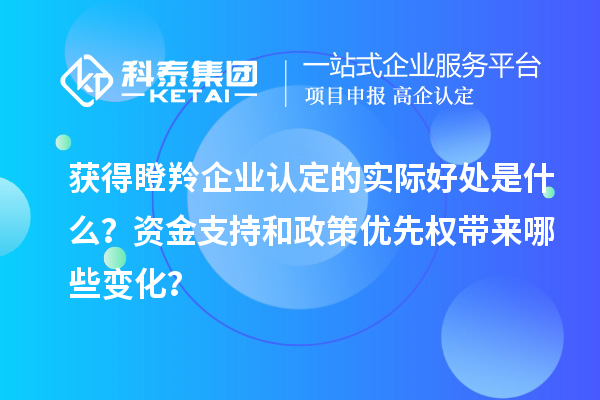 獲得瞪羚企業(yè)認定的實際好處是什么？資金支持和政策優(yōu)先權(quán)帶來哪些變化？