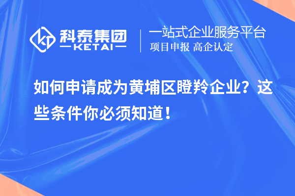 如何申請(qǐng)成為黃埔區(qū)瞪羚企業(yè)？這些條件你必須知道！