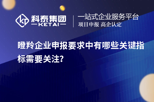 瞪羚企業(yè)申報(bào)要求中有哪些關(guān)鍵指標(biāo)需要關(guān)注？