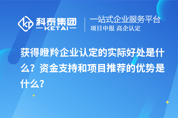 獲得瞪羚企業(yè)認(rèn)定的實(shí)際好處是什么？資金支持和項(xiàng)目推薦的優(yōu)勢(shì)是什么？