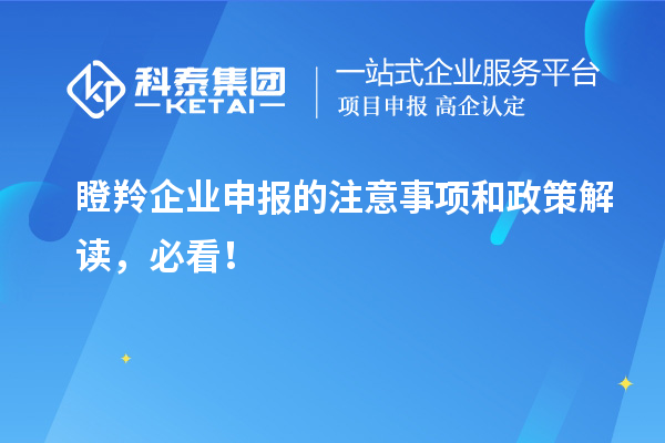 瞪羚企業(yè)申報(bào)的注意事項(xiàng)和政策解讀，必看！