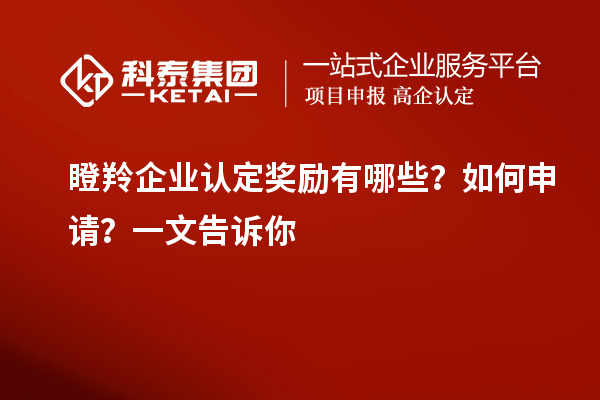 瞪羚企業(yè)認(rèn)定獎(jiǎng)勵(lì)有哪些？如何申請(qǐng)？一文告訴你