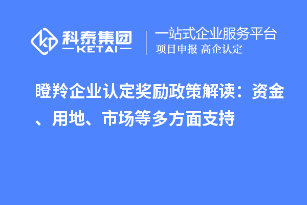 瞪羚企業(yè)認(rèn)定獎勵政策解讀：資金、用地、市場等多方面支持