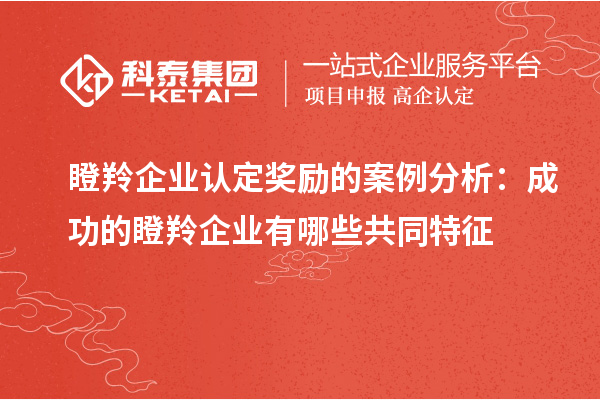 瞪羚企業(yè)認(rèn)定獎勵的案例分析：成功的瞪羚企業(yè)有哪些共同特征