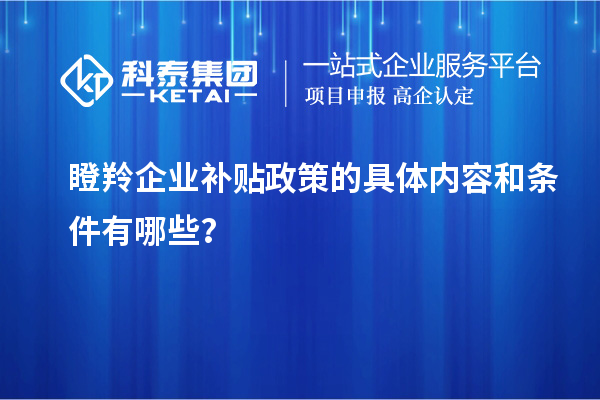 瞪羚企業(yè)補貼政策的具體內(nèi)容和條件有哪些？