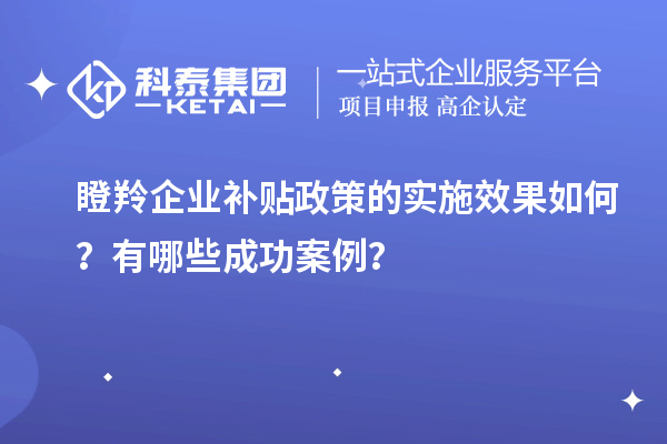 瞪羚企業(yè)補貼政策的實施效果如何？有哪些成功案例？