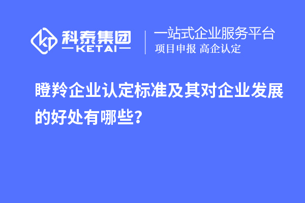 瞪羚企業(yè)認(rèn)定標(biāo)準(zhǔn)及其對企業(yè)發(fā)展的好處有哪些？