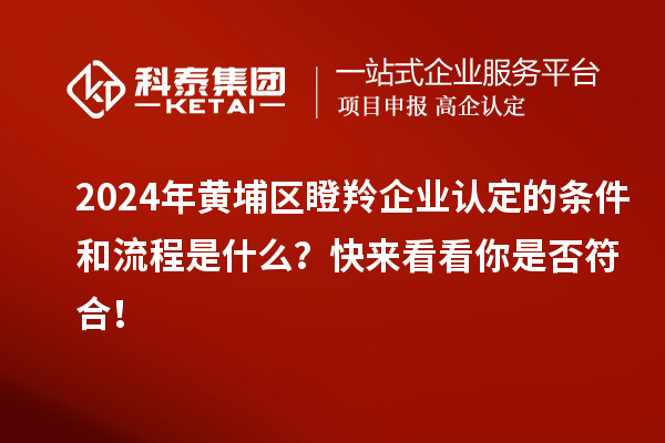 2024年黃埔區(qū)瞪羚企業(yè)認(rèn)定的條件和流程是什么？快來看看你是否符合！