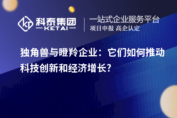 獨角獸與瞪羚企業(yè)：它們?nèi)绾瓮苿涌萍紕?chuàng)新和經(jīng)濟增長?