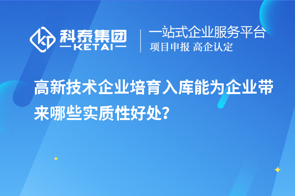 高新技術(shù)企業(yè)培育入庫(kù)能為企業(yè)帶來(lái)哪些實(shí)質(zhì)性好處？