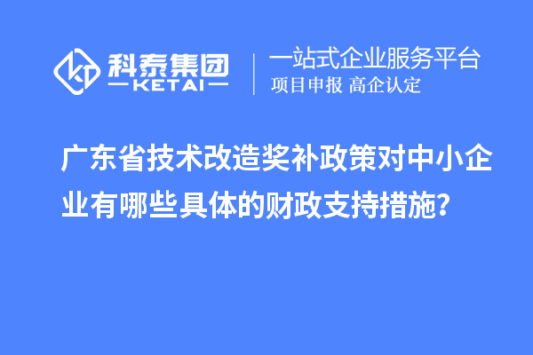廣東省技術(shù)改造獎(jiǎng)補(bǔ)政策對中小企業(yè)有哪些具體的財(cái)政支持措施？