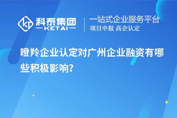 瞪羚企業(yè)認(rèn)定對(duì)廣州企業(yè)融資有哪些積極影響？