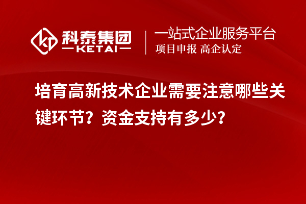 培育高新技術(shù)企業(yè)需要注意哪些關鍵環(huán)節(jié)？資金支持有多少？