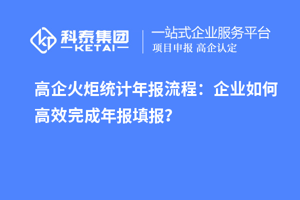 高企火炬統(tǒng)計年報流程：企業(yè)如何高效完成年報填報？
