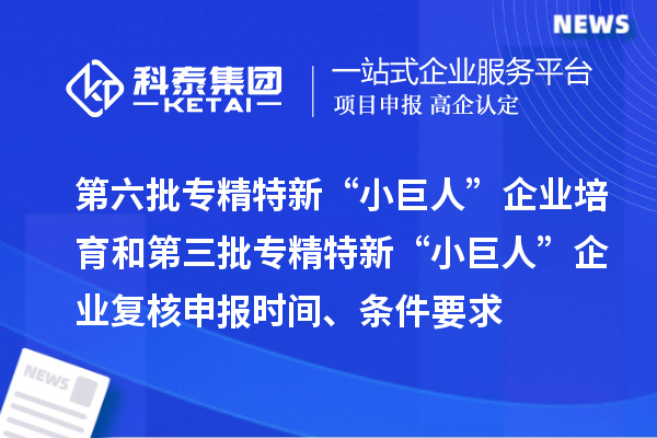 第六批專精特新“小巨人”企業(yè)培育和第三批專精特新“小巨人”企業(yè)復(fù)核申報(bào)時(shí)間、條件要求、補(bǔ)助獎(jiǎng)勵(lì)