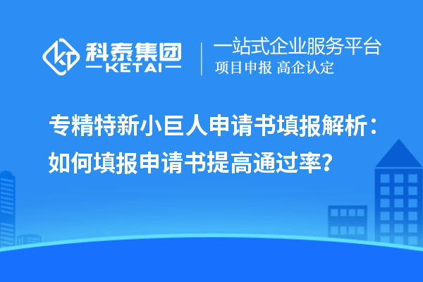 專精特新小巨人申請(qǐng)書填報(bào)解析：如何填報(bào)申請(qǐng)書提高通過率？