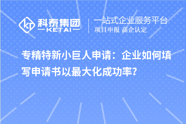 專精特新小巨人申請(qǐng)：企業(yè)如何填寫申請(qǐng)書以最大化成功率？