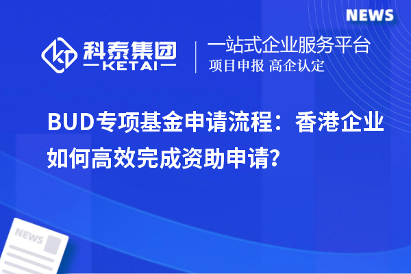 BUD專項(xiàng)基金申請流程：香港企業(yè)如何高效完成資助申請？