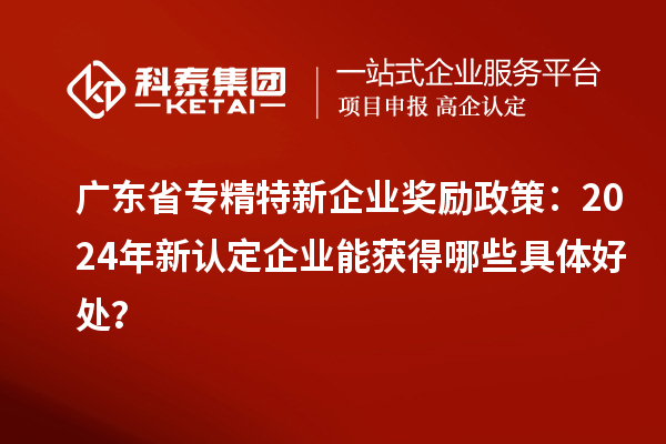 廣東省專精特新企業(yè)獎勵政策：2024年新認定企業(yè)能獲得哪些具體好處？