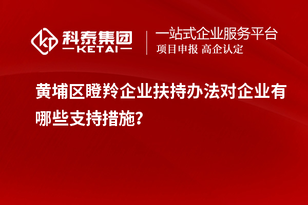 黃埔區(qū)瞪羚企業(yè)扶持辦法對(duì)企業(yè)有哪些支持措施？