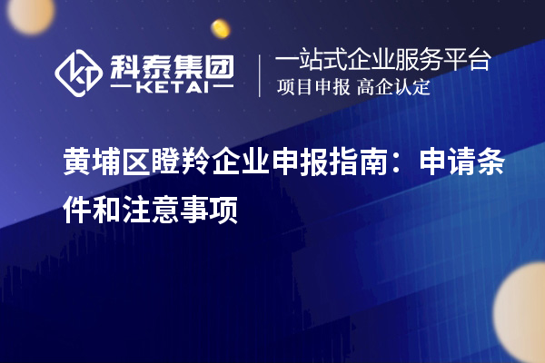 黃埔區(qū)瞪羚企業(yè)申報(bào)指南：申請(qǐng)條件和注意事項(xiàng)
