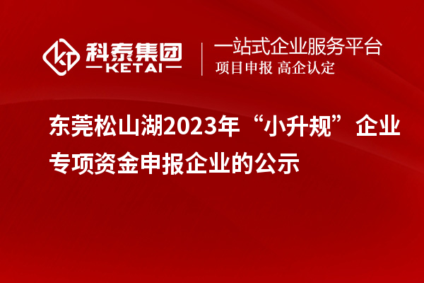 東莞松山湖2023年“小升規(guī)”企業(yè)專項(xiàng)資金申報(bào)企業(yè)的公示