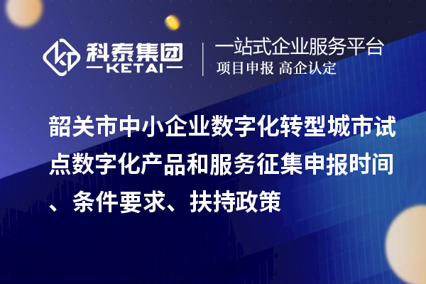 韶關(guān)市中小企業(yè)數(shù)字化轉(zhuǎn)型城市試點(diǎn)數(shù)字化產(chǎn)品和服務(wù)征集申報(bào)時(shí)間、條件要求、扶持政策