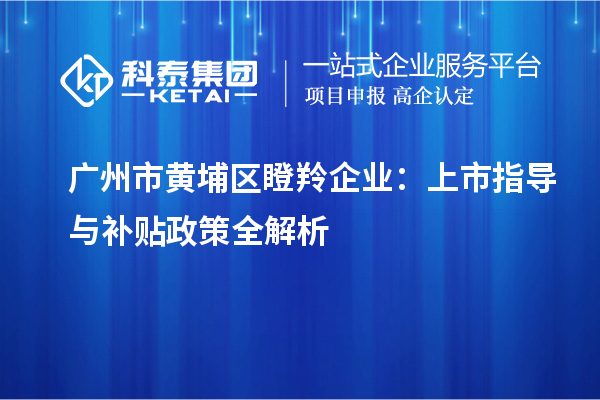 廣州市黃埔區(qū)瞪羚企業(yè)：上市指導(dǎo)與補(bǔ)貼政策全解析