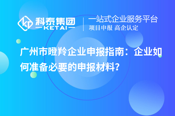 廣州市瞪羚企業(yè)申報(bào)指南：企業(yè)如何準(zhǔn)備必要的申報(bào)材料？