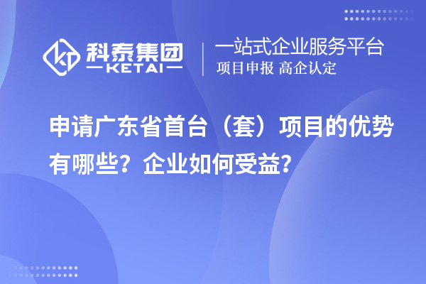 申請(qǐng)廣東省首臺(tái)（套）項(xiàng)目的優(yōu)勢有哪些？企業(yè)如何受益？