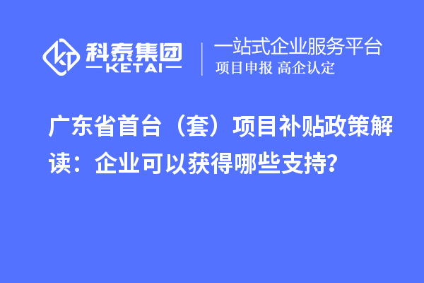 廣東省首臺(tái)（套）項(xiàng)目補(bǔ)貼政策解讀：企業(yè)可以獲得哪些支持？