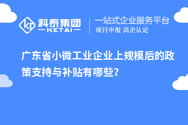 廣東省小微工業(yè)企業(yè)上規(guī)模后的政策支持與補(bǔ)貼有哪些？