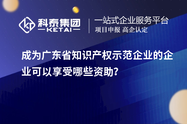成為廣東省知識(shí)產(chǎn)權(quán)示范企業(yè)的企業(yè)可以享受哪些資助？