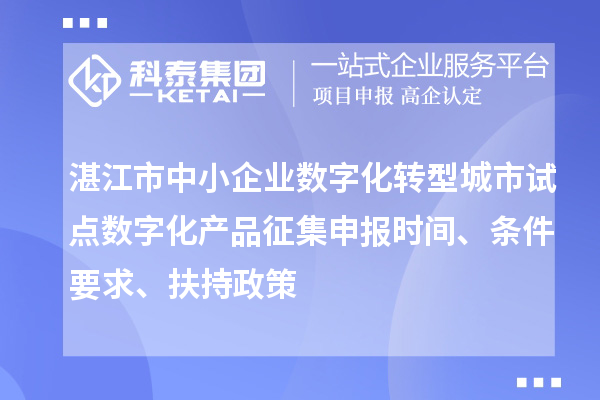 湛江市中小企業(yè)數(shù)字化轉(zhuǎn)型城市試點數(shù)字化產(chǎn)品征集申報時間、條件要求、扶持政策