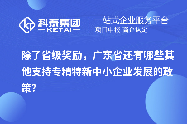 除了省級(jí)獎(jiǎng)勵(lì)，廣東省還有哪些其他支持專精特新中小企業(yè)發(fā)展的政策？