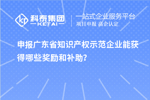 申報(bào)廣東省知識(shí)產(chǎn)權(quán)示范企業(yè)能獲得哪些獎(jiǎng)勵(lì)和補(bǔ)助？