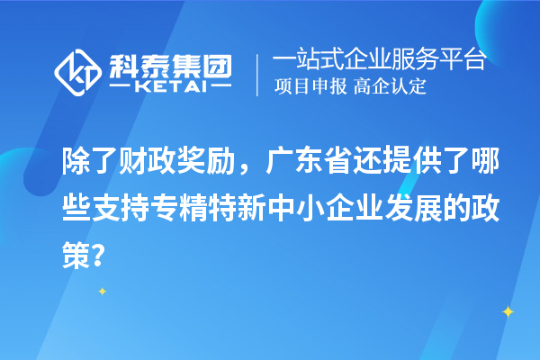 除了財(cái)政獎(jiǎng)勵(lì)，廣東省還提供了哪些支持專(zhuān)精特新中小企業(yè)發(fā)展的政策？