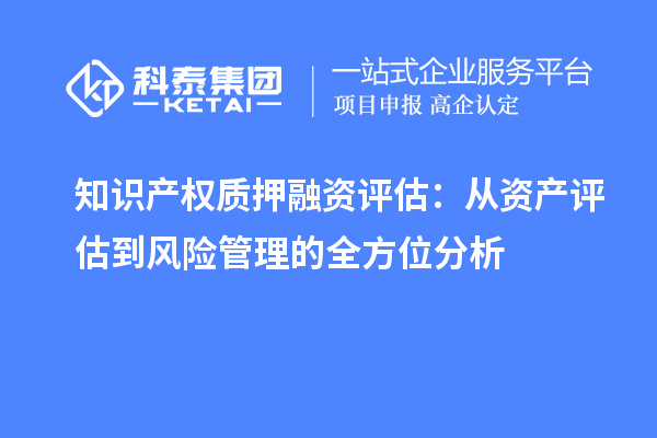 知識(shí)產(chǎn)權(quán)質(zhì)押融資評(píng)估：從資產(chǎn)評(píng)估到風(fēng)險(xiǎn)管理的全方位分析