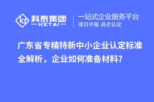 廣東省專精特新中小企業(yè)認(rèn)定標(biāo)準(zhǔn)全解析，企業(yè)如何準(zhǔn)備材料？