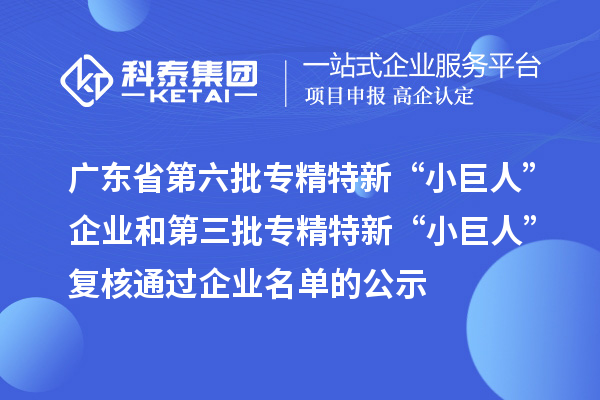廣東省第六批專(zhuān)精特新“小巨人”企業(yè)和第三批專(zhuān)精特新“小巨人”復(fù)核通過(guò)企業(yè)名單的公示
