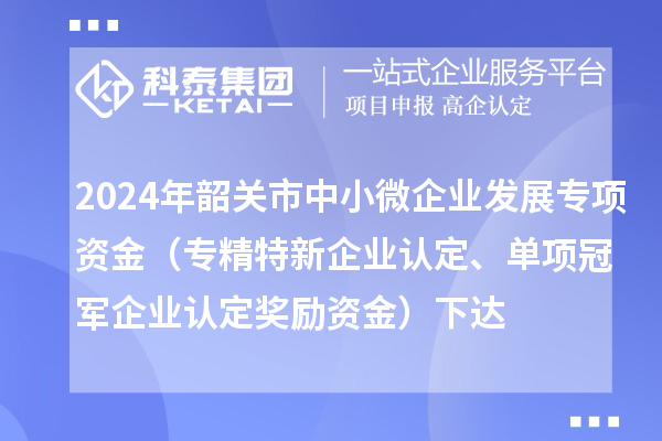 2024年韶關(guān)市中小微企業(yè)發(fā)展專項(xiàng)資金（專精特新企業(yè)認(rèn)定、單項(xiàng)冠軍企業(yè)認(rèn)定獎(jiǎng)勵(lì)資金）下達(dá)