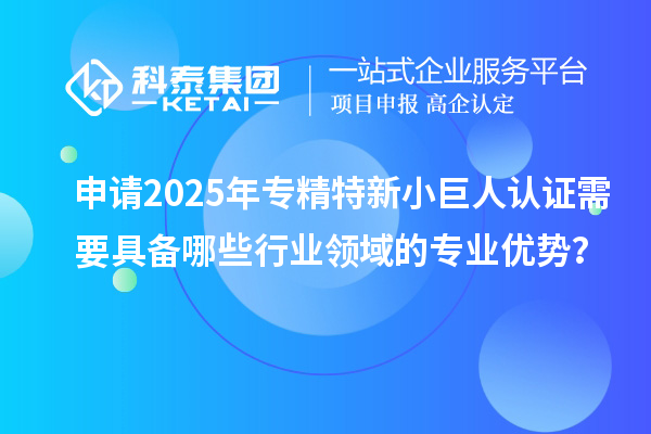申請(qǐng)2025年專(zhuān)精特新小巨人認(rèn)證需要具備哪些行業(yè)領(lǐng)域的專(zhuān)業(yè)優(yōu)勢(shì)？