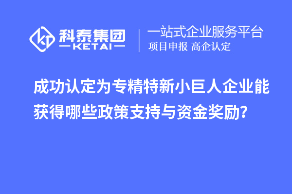 成功認定為專精特新小巨人企業(yè)能獲得哪些政策支持與資金獎勵？