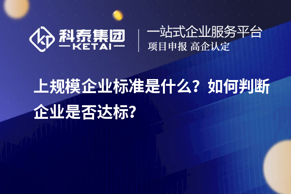 上規(guī)模企業(yè)標(biāo)準(zhǔn)是什么？如何判斷企業(yè)是否達(dá)標(biāo)？