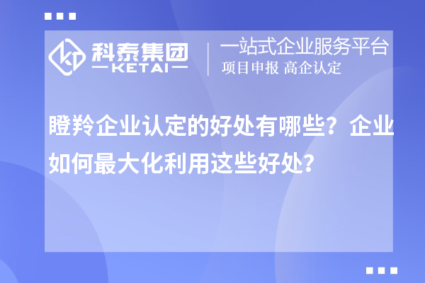瞪羚企業(yè)認(rèn)定的好處有哪些？企業(yè)如何最大化利用這些好處？