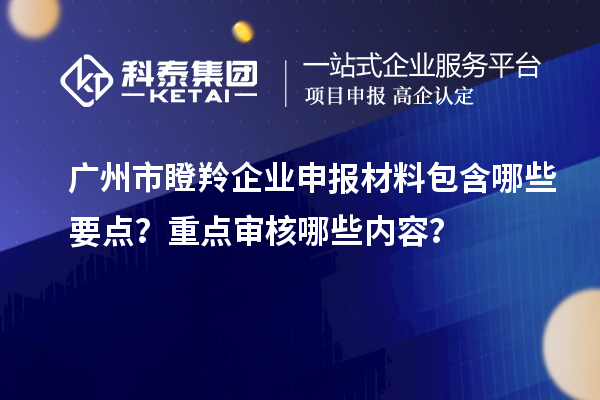 廣州市瞪羚企業(yè)申報材料包含哪些要點？重點審核哪些內(nèi)容？