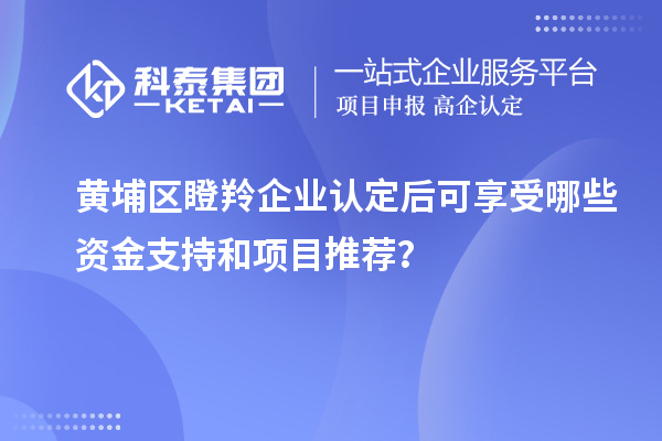 黃埔區(qū)瞪羚企業(yè)認定后可享受哪些資金支持和項目推薦？