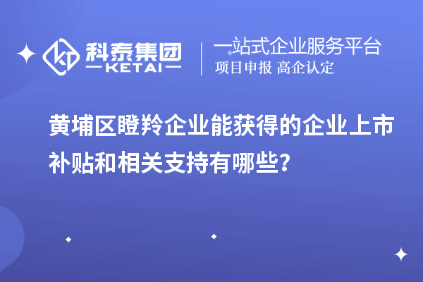 黃埔區(qū)瞪羚企業(yè)能獲得的企業(yè)上市補貼和相關(guān)支持有哪些？