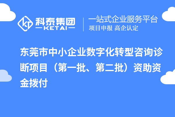 東莞市中小企業(yè)數(shù)字化轉(zhuǎn)型咨詢診斷項目（第一批、第二批）資助資金撥付